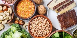 Fitness dünyasında beslenme alışkanlıkları son yıllarda önemli bir değişim geçiriyor. Daha önce ağırlıklı olarak hayvansal kaynaklı proteinler ön plana çıkarken, günümüzde bitkisel proteinler sporcular ve fitness tutkunları arasında giderek daha fazla ilgi görüyor. Sağlıklı yaşam trendlerinin yaygınlaşması, sürdürülebilir beslenme anlayışının güçlenmesi ve farklı beslenme tercihlerinin artması, bitkisel protein kaynakları kullanımını fitness sektöründe önemli bir noktaya taşıyor. Konulu bir haber görseli.