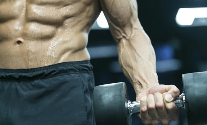 Fitness sektöründe büyüyen yatırım hacmi, spor salonu açmak isteyen girişimcilerin ekipman seçimine daha fazla önem vermesine neden oluyor. Başarılı bir salon yatırımı için yalnızca geniş bir alan veya modern bir dekorasyon yeterli olmuyor. Kullanıcı beklentilerini karşılayan, dayanıklı ve verimli çalışan fitness ekipmanları, işletmenin uzun vadeli başarısında önemli rol oynuyor. Konulu bir haber görseli.